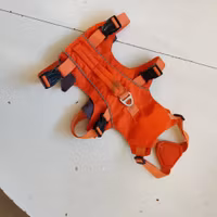 Orange hundsele