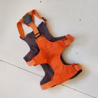 Orange hundsele