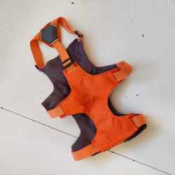 Orange hundsele