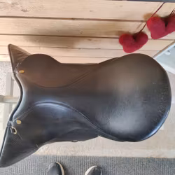 Svart allroundsadel Olympic Club 17 tum normal bom