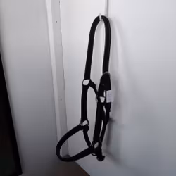Svart lädergrimma FULL