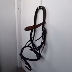 Brunt träns Horse Head FULL