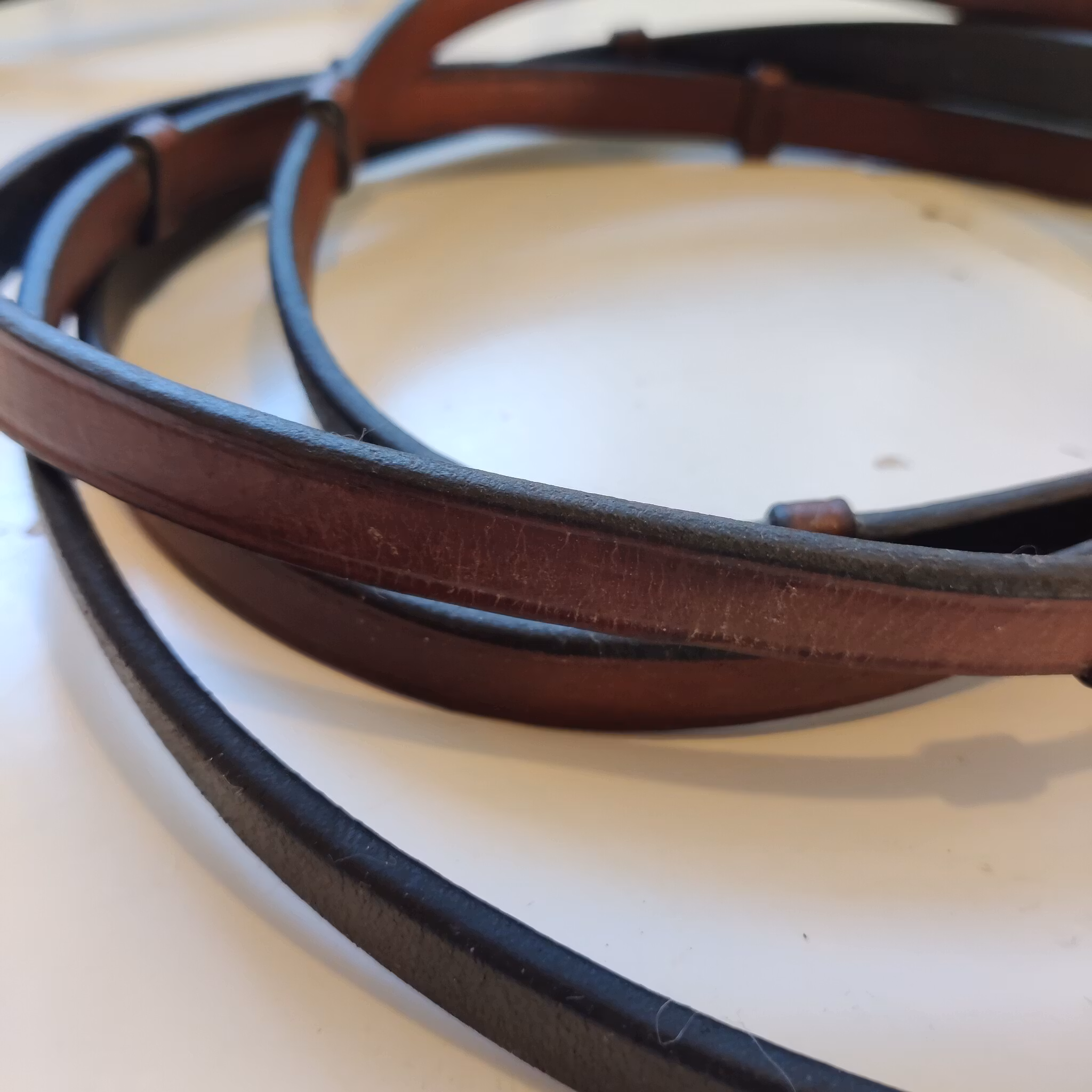 Bruna lädertyglar med stoppar Horse Head FULL