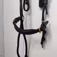 Svart träns med remontgrimma COB