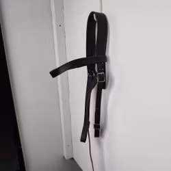 Svart huvudlag Hööks FULL