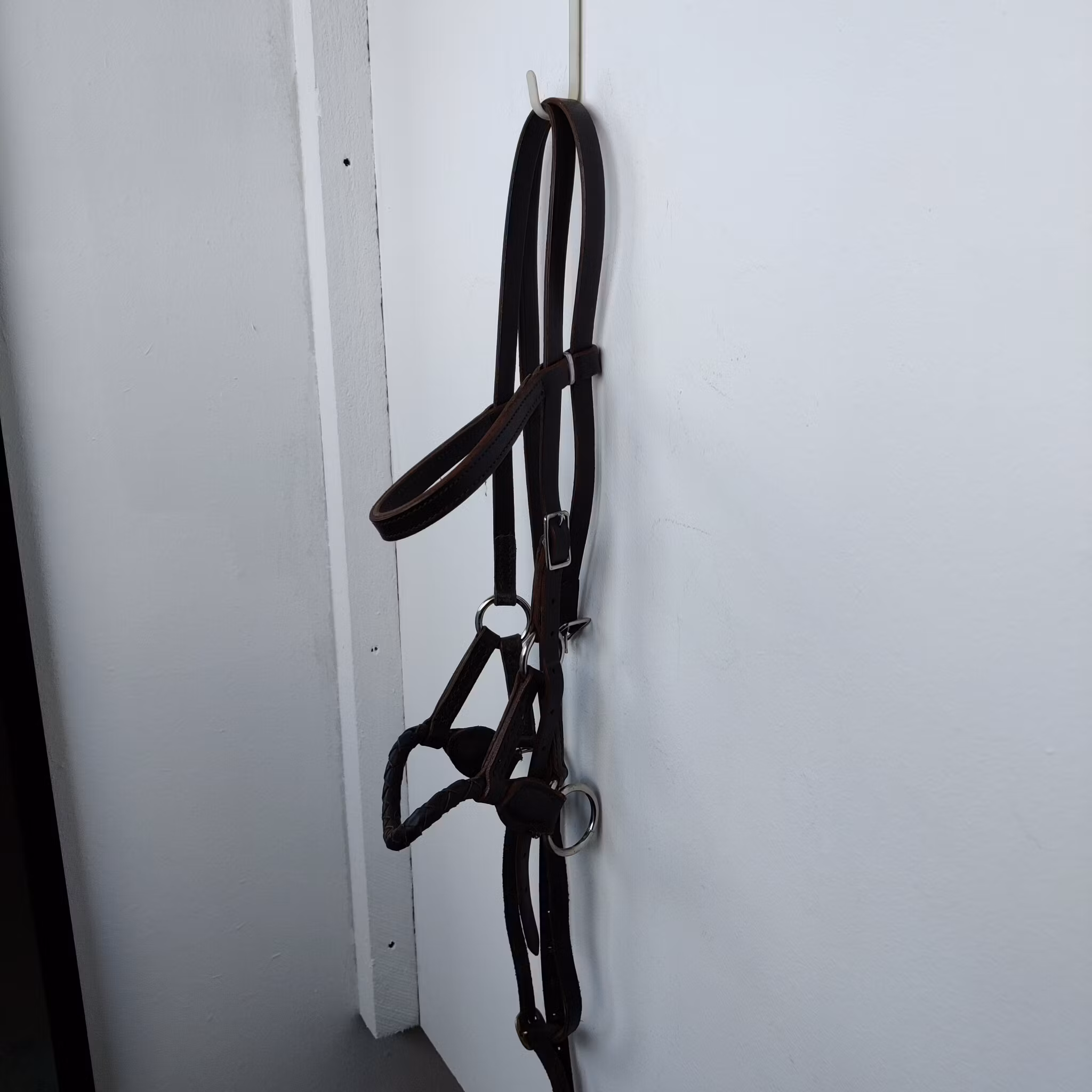 Brunt sidepull COB