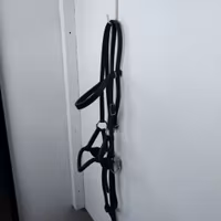 Brunt sidepull COB