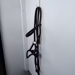 Brunt sidepull COB