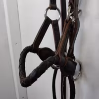 Brunt sidepull COB