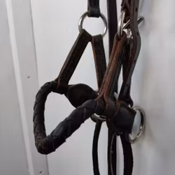 Brunt sidepull COB