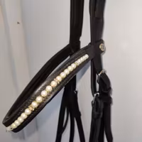 Svart träns med bling och lack COB