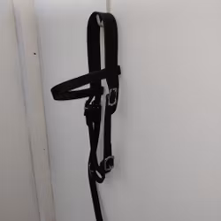 Svart huvudlag PONNY