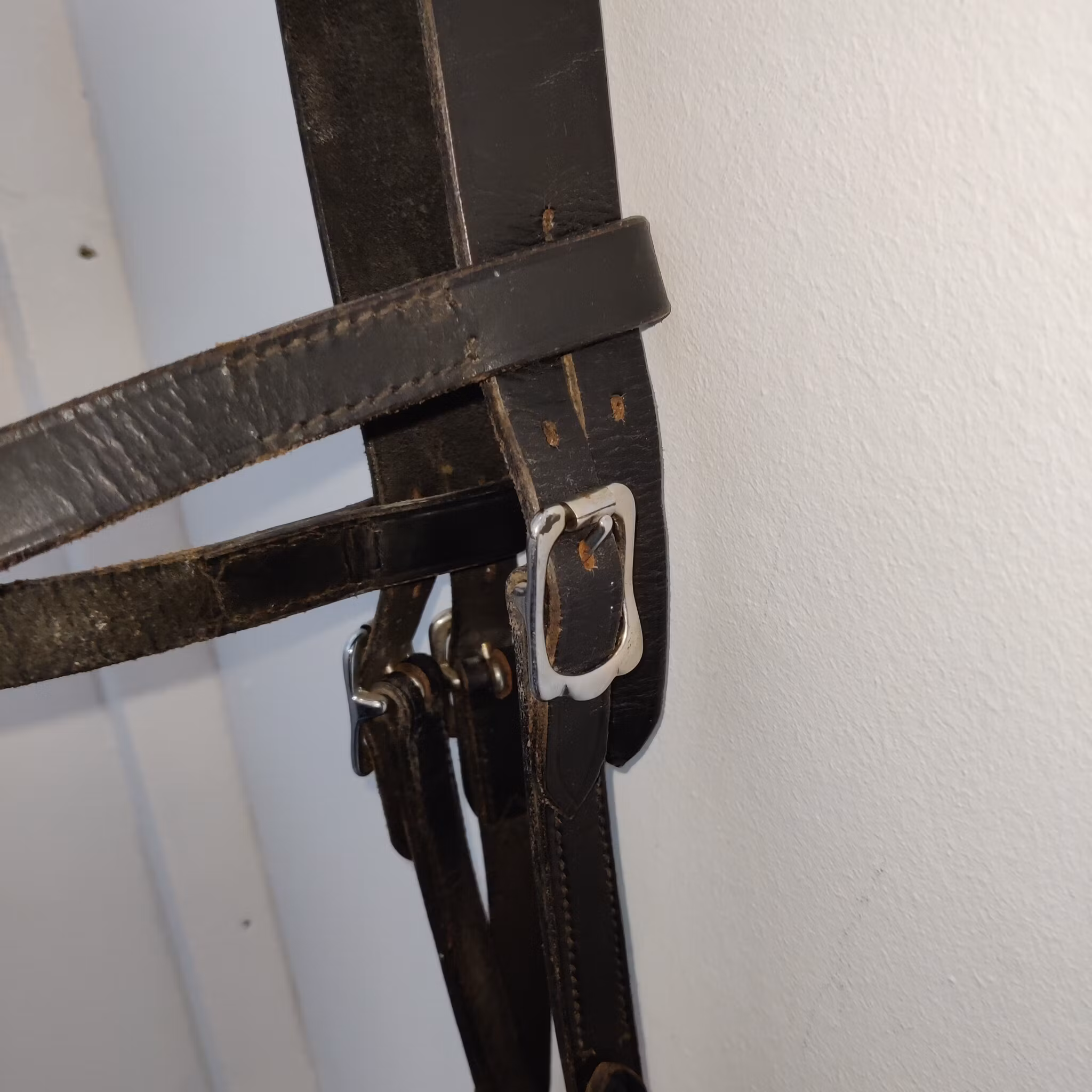 Svart huvudlag PONNY