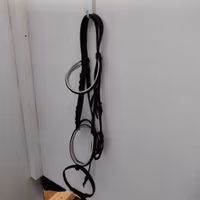 Svart träns med vit fodring COB