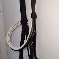 Svart träns med vit fodring COB