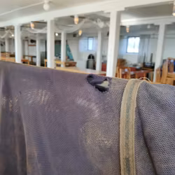 Blått flugstäcke med hals Jacson 150cm