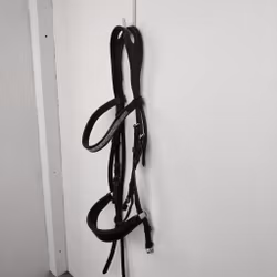 Svart träns med remontgrimma COB