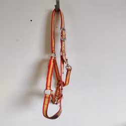Gulröd grimma Globus COB