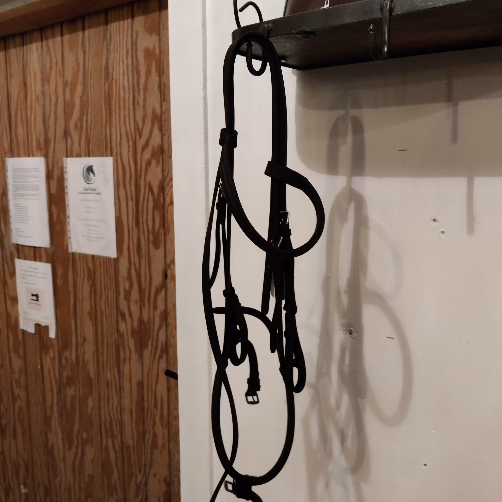 Mörkbrunt träns PONNY