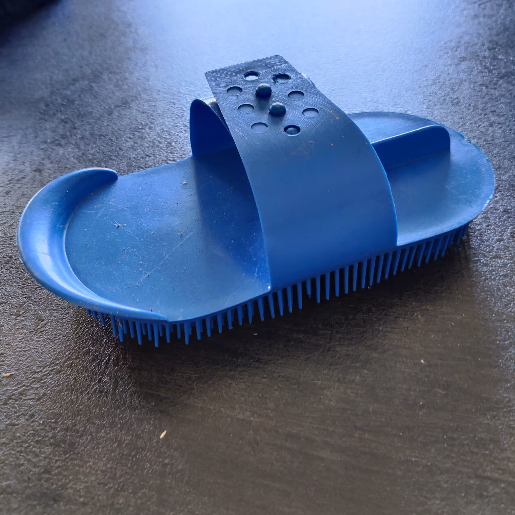 Blå piggborste