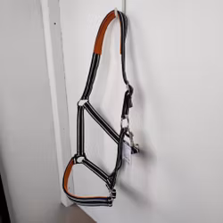 Randig grimma Börjes COB