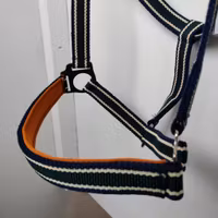 Randig grimma Börjes COB