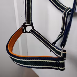 Randig grimma Börjes COB