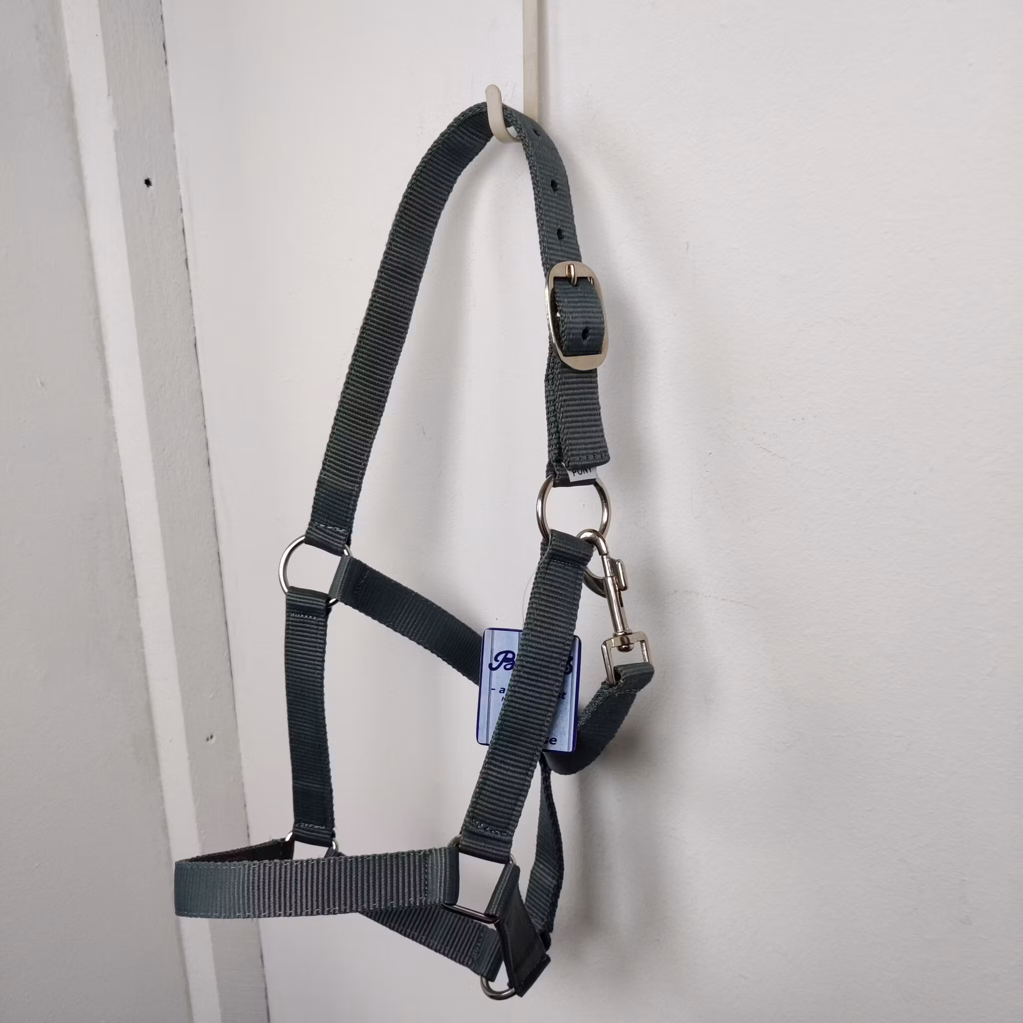 Grågrön grimma Börjes PONNY