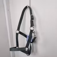 Grågrön grimma Börjes PONNY