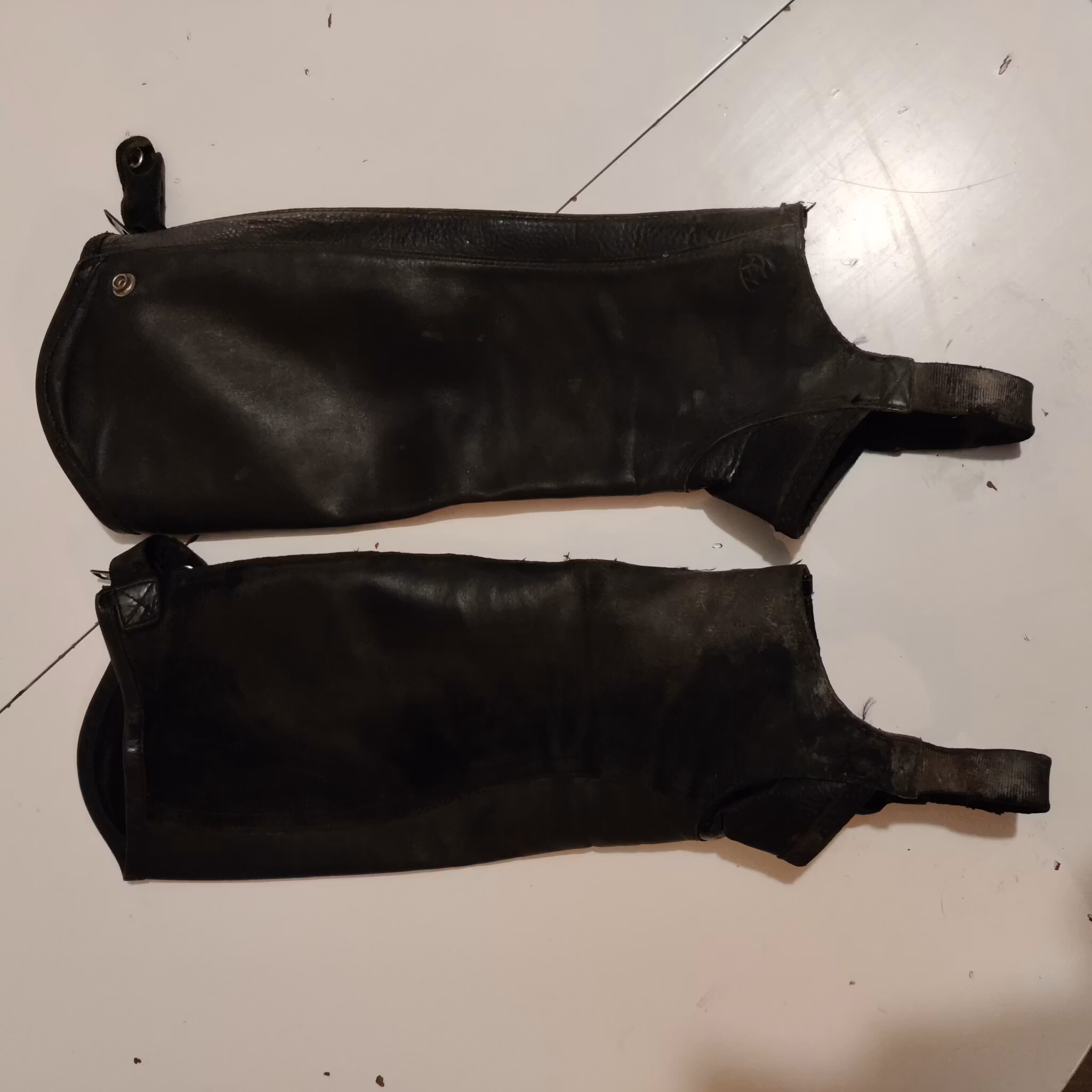 Svarta shortchaps läder Ariat Concorde MEDIUM