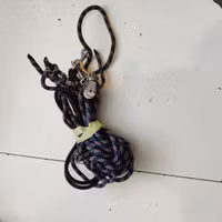 Longeringshjälp typ Pessoa