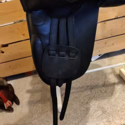 Svart dressyrsadel 17 tum bomvidd 36