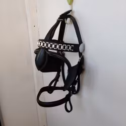 Svart körträns SHETLAND