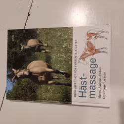 Bok Hästmassage