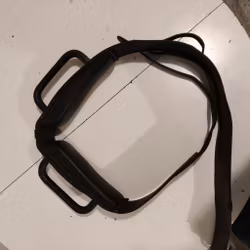 Voltigegjord ca 170 - 200 cm