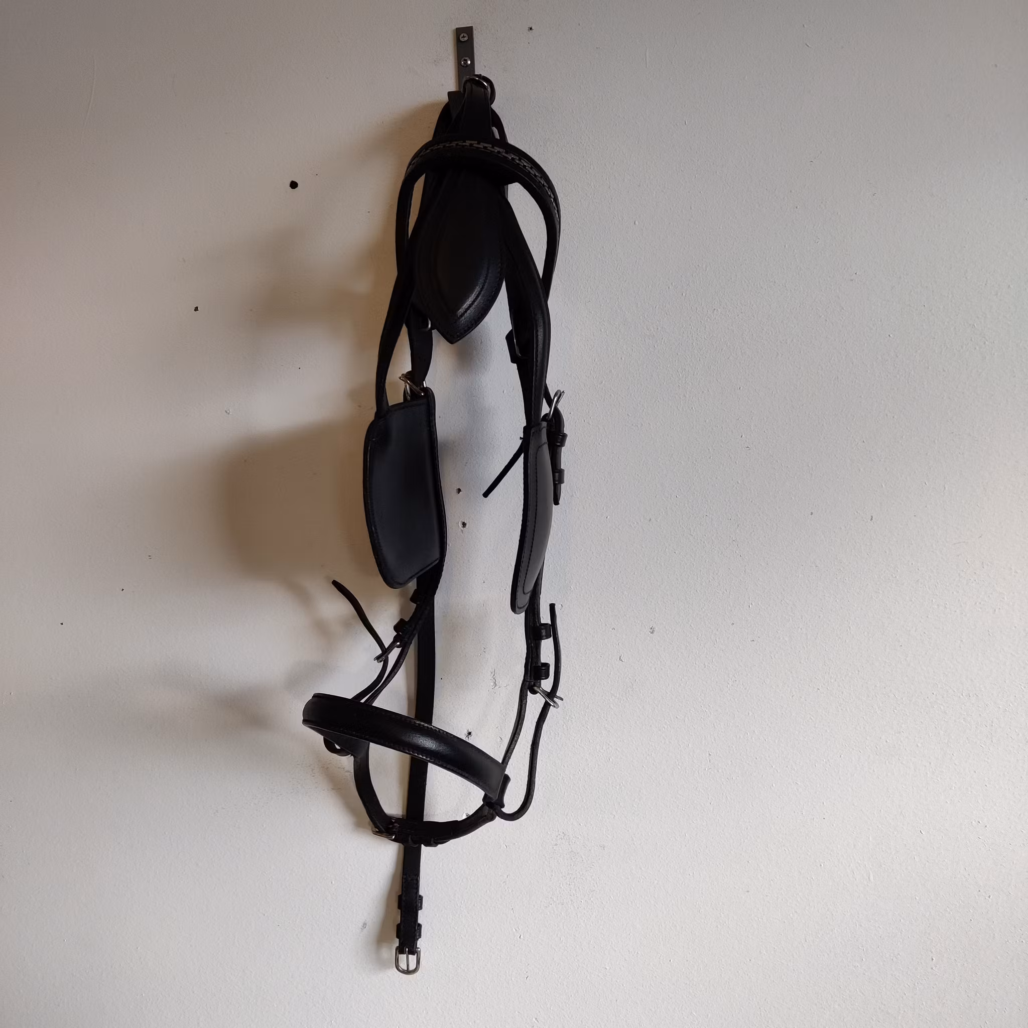 Körhuvudlag med skygglappar FULL