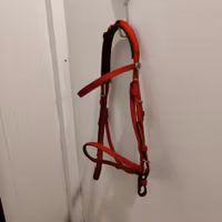 Rött körhuvudlag nylon Finn Tack FULL