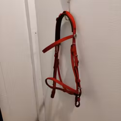 Rött körhuvudlag nylon Finn Tack FULL