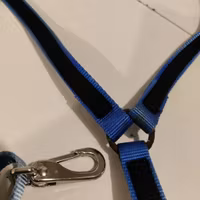 Blå förbygel/travbrösta Wahlsten FULL