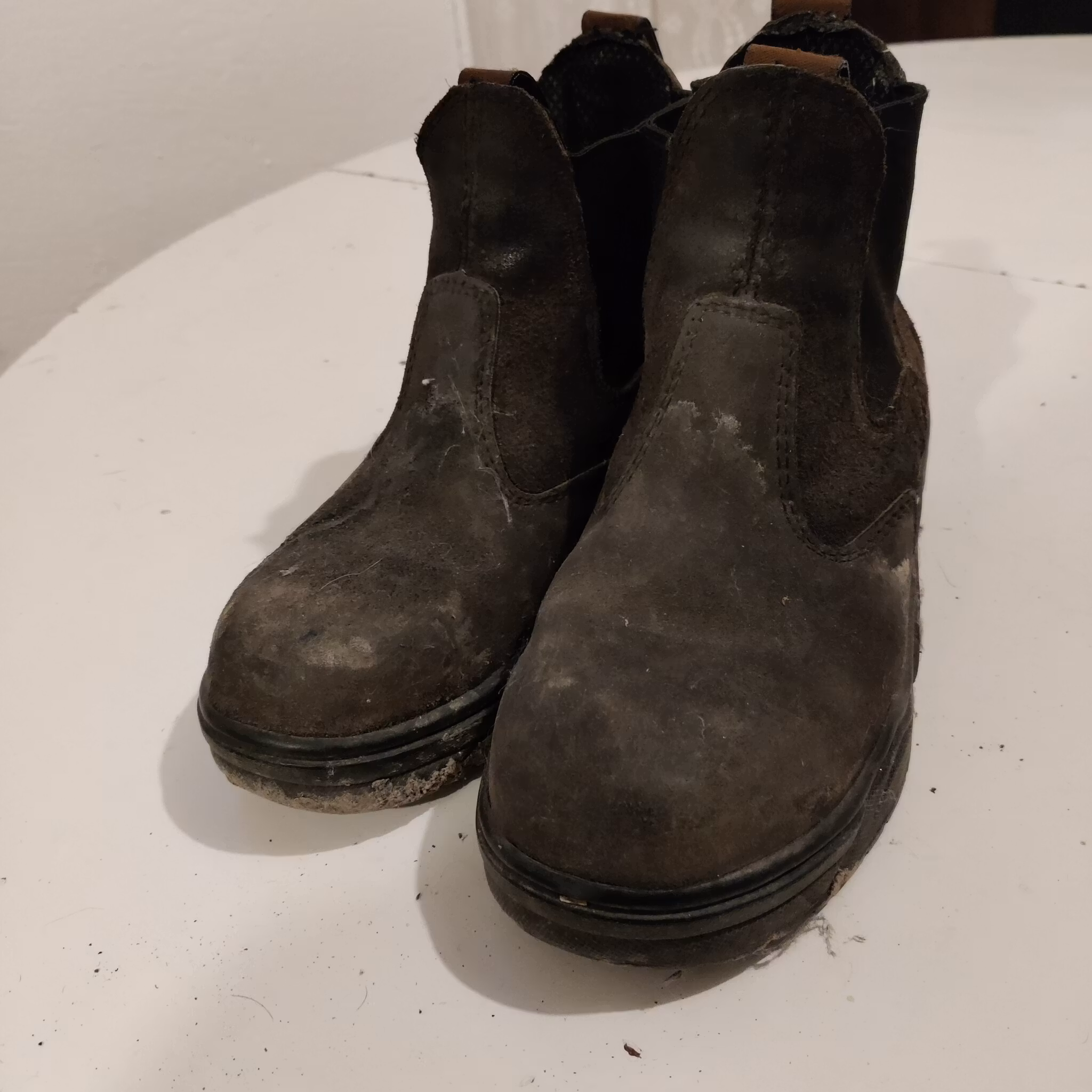 Bruna jodphurs med stålhätta strl 35 Mountain Horse