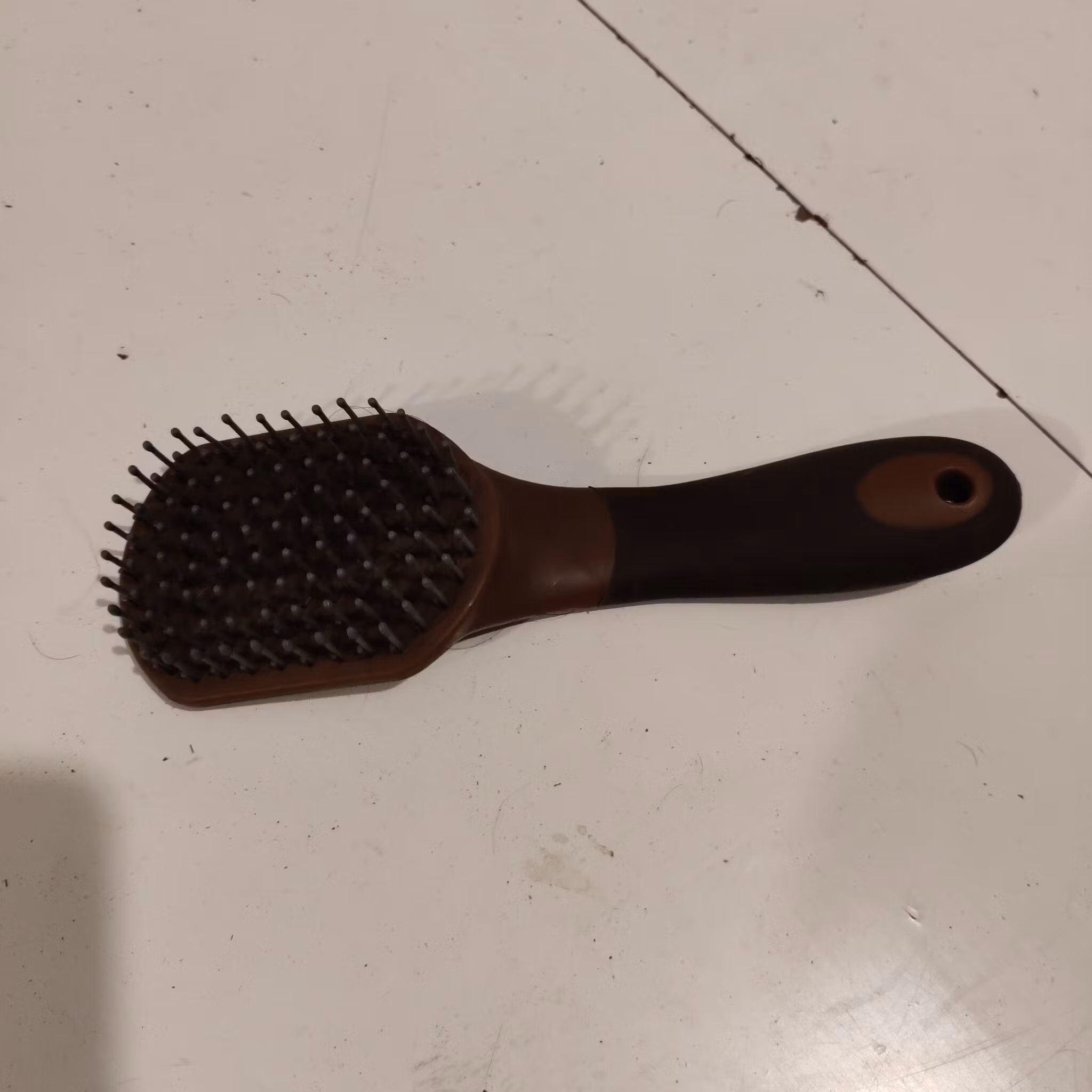 Brun man & svansborste