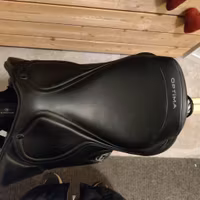 Santa Cruz Loire Optima 17 tum