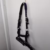 Grimma Schockemöhle PONNY