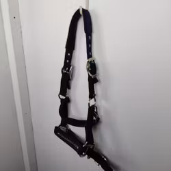 Grimma Schockemöhle PONNY