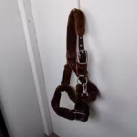 Brun luddrimma Hansbo PONNY