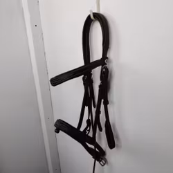 Svart träns Fairfield COB