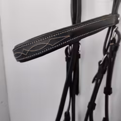 Svart träns Fairfield COB