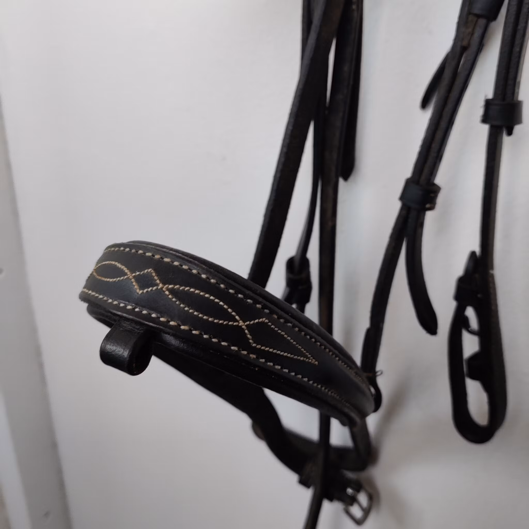 Svart träns Fairfield COB