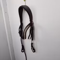 Brunt huvudlag Fairfield FULL