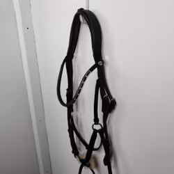 Svart träns Claridge House FULL